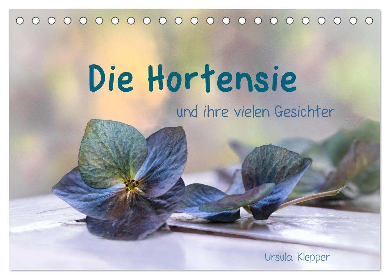 Cover: 9783435506040 | Die Hortensie und ihre vielen Gesichter (Tischkalender 2025 DIN A5...