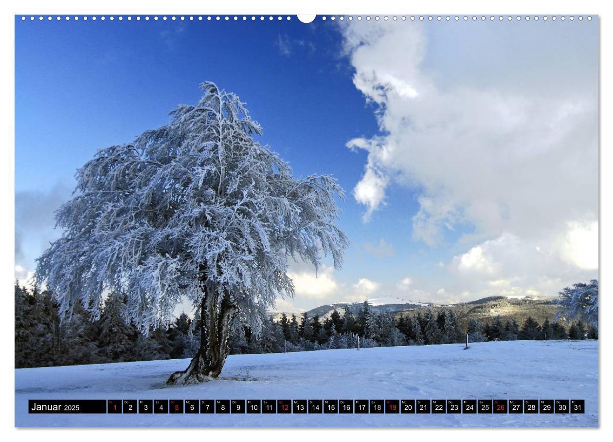 Bild: 9783435675401 | Romantischer Schwarzwald (Wandkalender 2025 DIN A2 quer), CALVENDO...