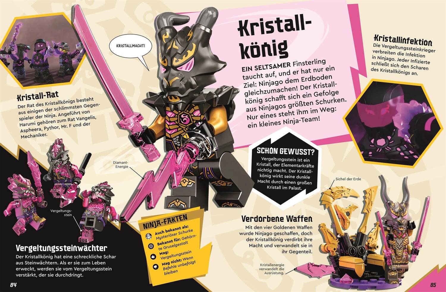 Bild: 9783831048144 | LEGO® NINJAGO® Die geheime Welt der Ninja | Shari Last | Buch | 96 S.