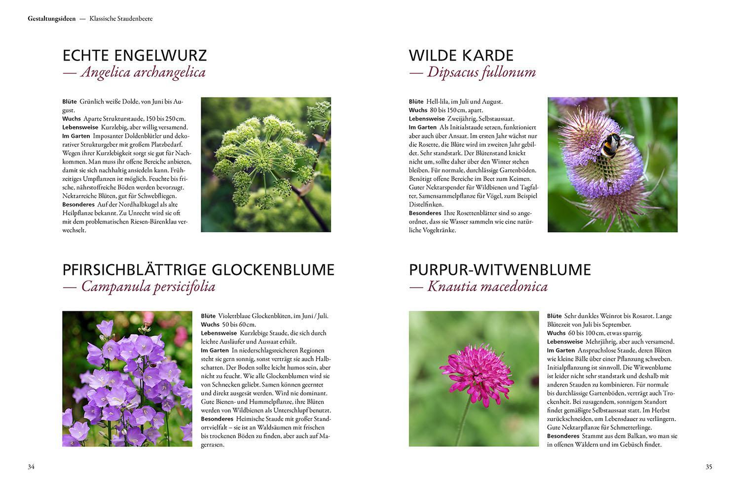 Bild: 9783440173770 | Der antiautoritäre Garten | Simone Kern | Taschenbuch | 128 S. | 2023