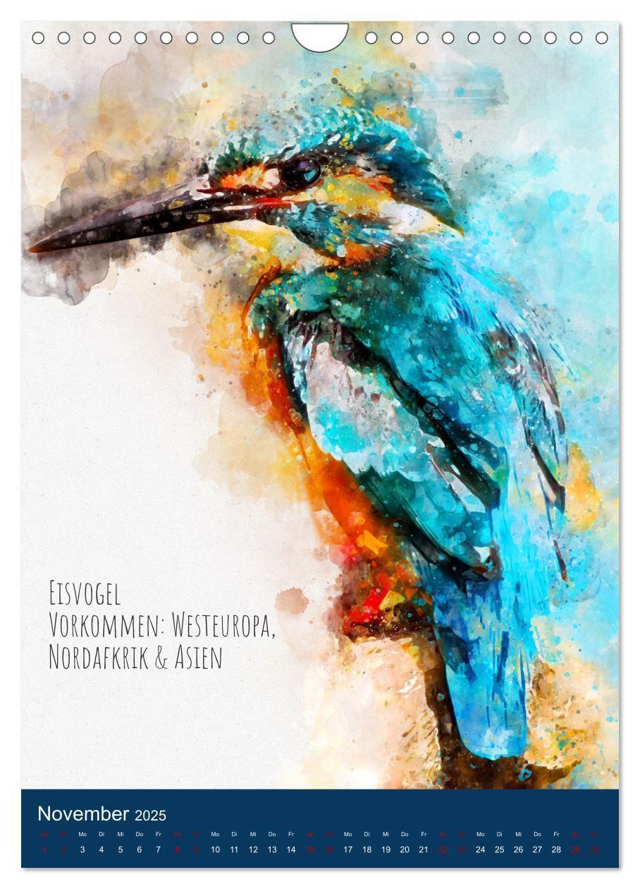 Bild: 9783435922826 | Exotische Vögel - Die Schönsten der Welt in Aquarell (Wandkalender...