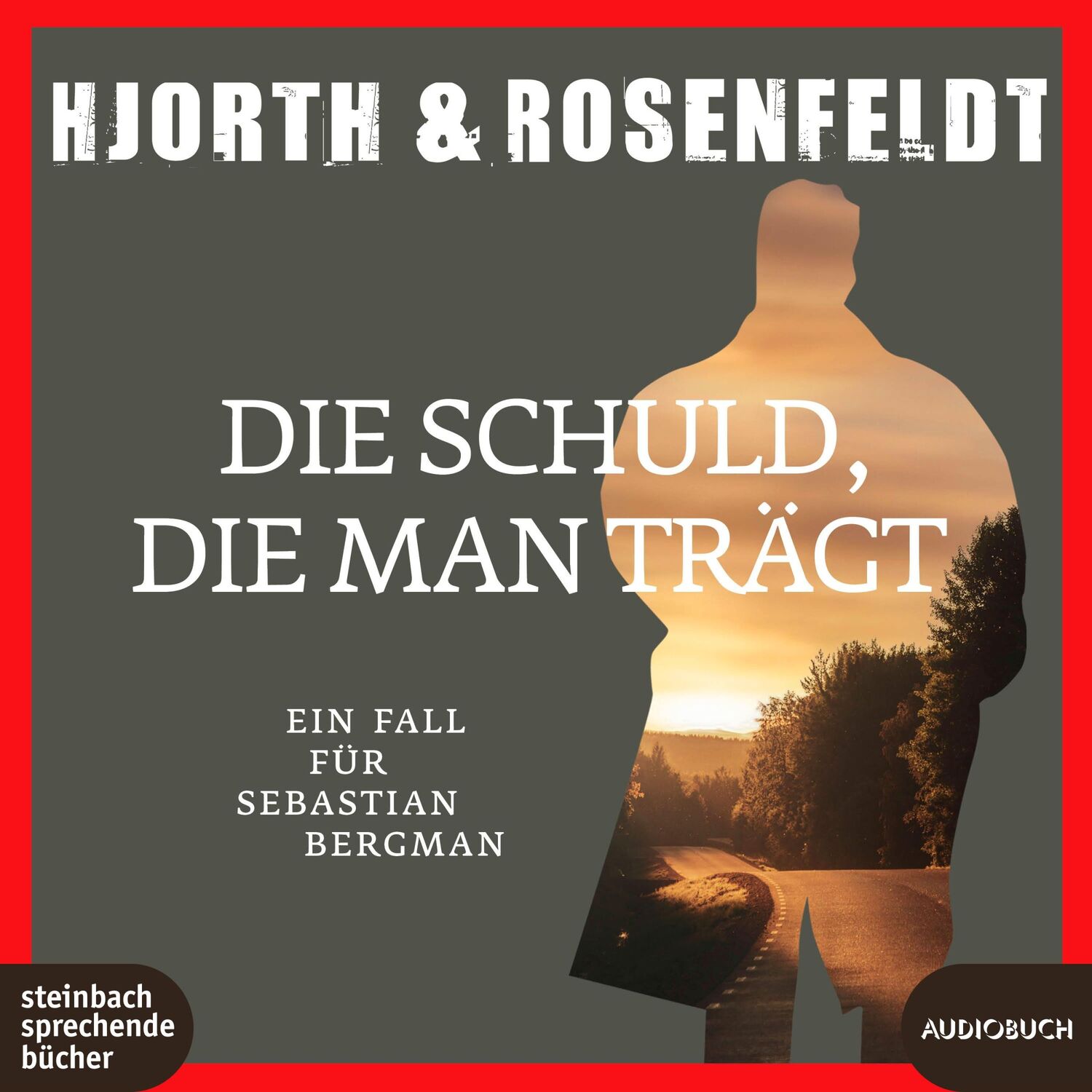 Cover: 9783987590320 | Die Schuld, die man trägt | Ein Fall für Sebastian Bergmann | MP3 | 2