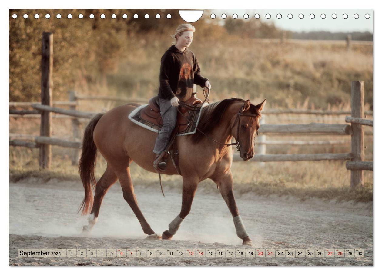 Bild: 9783435412143 | Quarter Horses - Die größte Zuchtbuchrasse der Welt (Wandkalender...