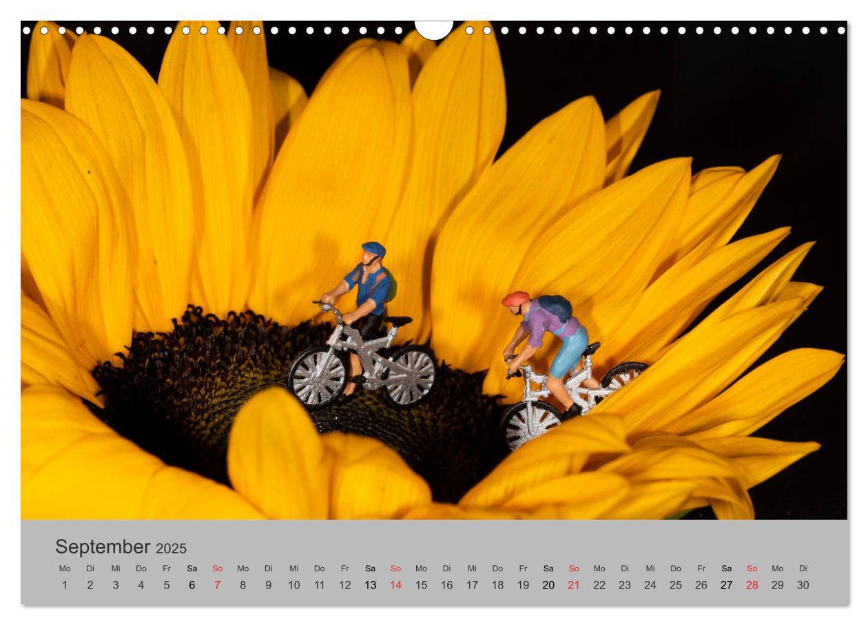 Bild: 9783435149537 | Miniaturen - Das Leben der Minis (Wandkalender 2025 DIN A3 quer),...