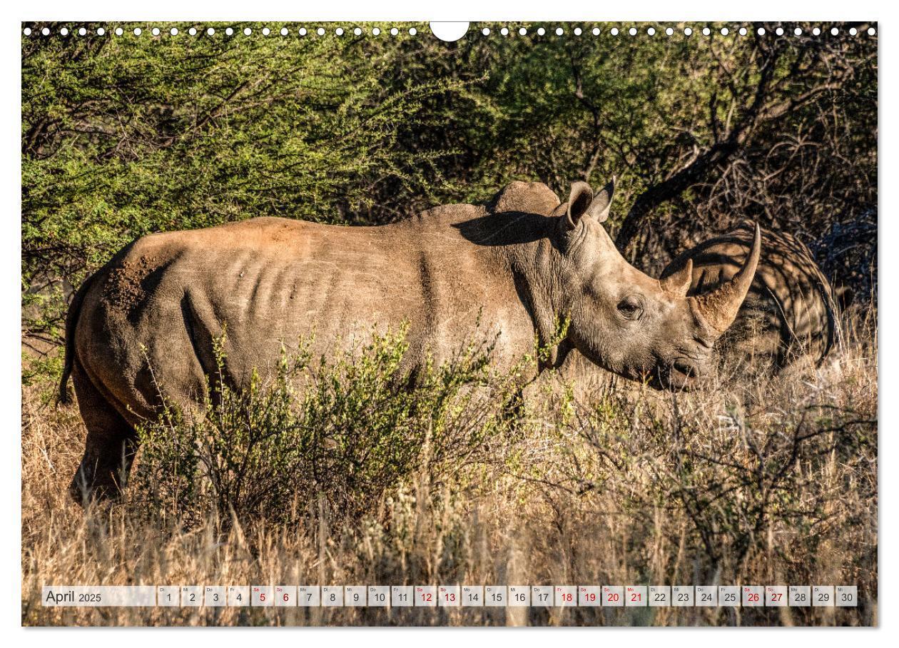 Bild: 9783383852459 | Abenteuerliches Namibia (Wandkalender 2025 DIN A3 quer), CALVENDO...