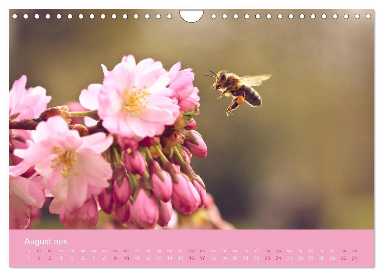 Bild: 9783435403165 | Zarte Kirschblüten - Berauschende Gedankendüfte (Wandkalender 2025...