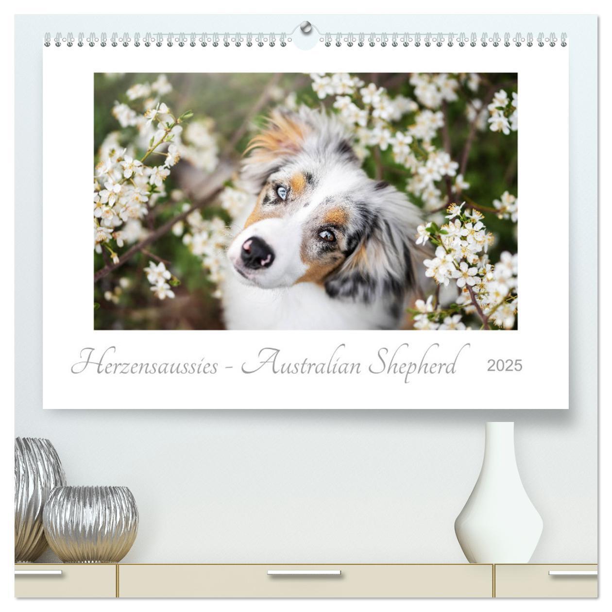 Cover: 9783435177400 | Herzensaussies - Australian Shepherd (hochwertiger Premium...