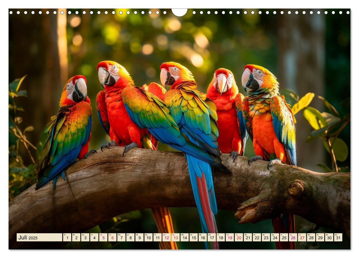 Bild: 9783383906381 | Papageien - Ara (Wandkalender 2025 DIN A3 quer), CALVENDO...