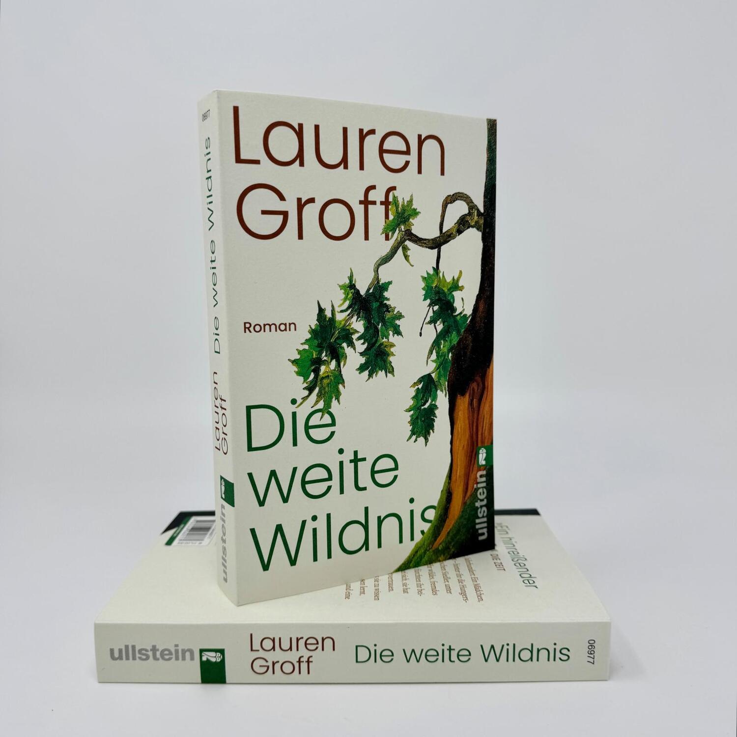 Bild: 9783548069777 | Die weite Wildnis | Lauren Groff | Taschenbuch | 288 S. | Deutsch