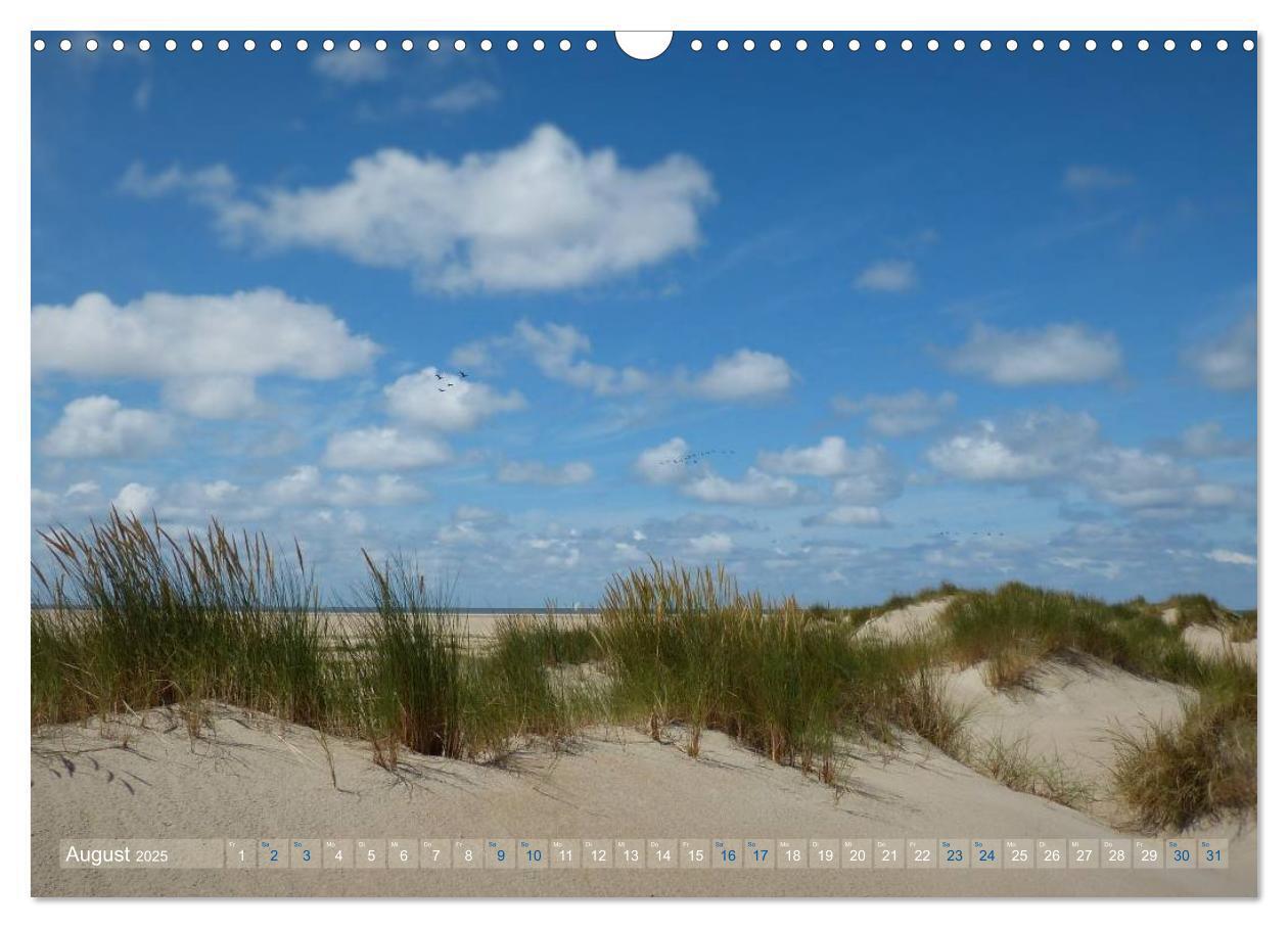 Bild: 9783435660780 | Texel. Neue Dünen (Wandkalender 2025 DIN A3 quer), CALVENDO...