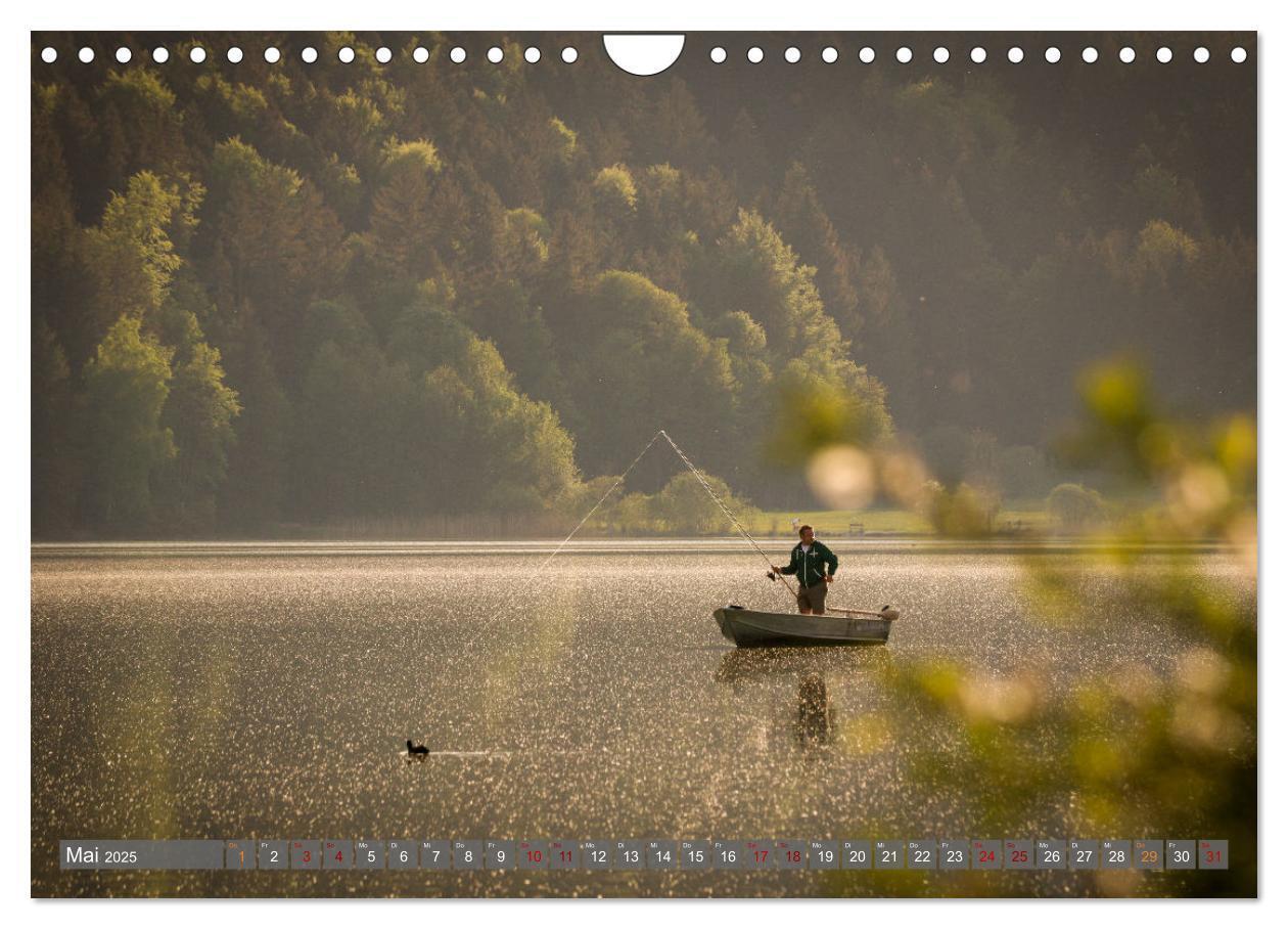 Bild: 9783383839474 | Ostallgäu - Zwischen Aggenstein und Forggensee (Wandkalender 2025...