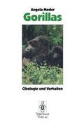 Cover: 9783540566663 | Gorillas | Ökologie und Verhalten | Angela Meder | Taschenbuch | viii