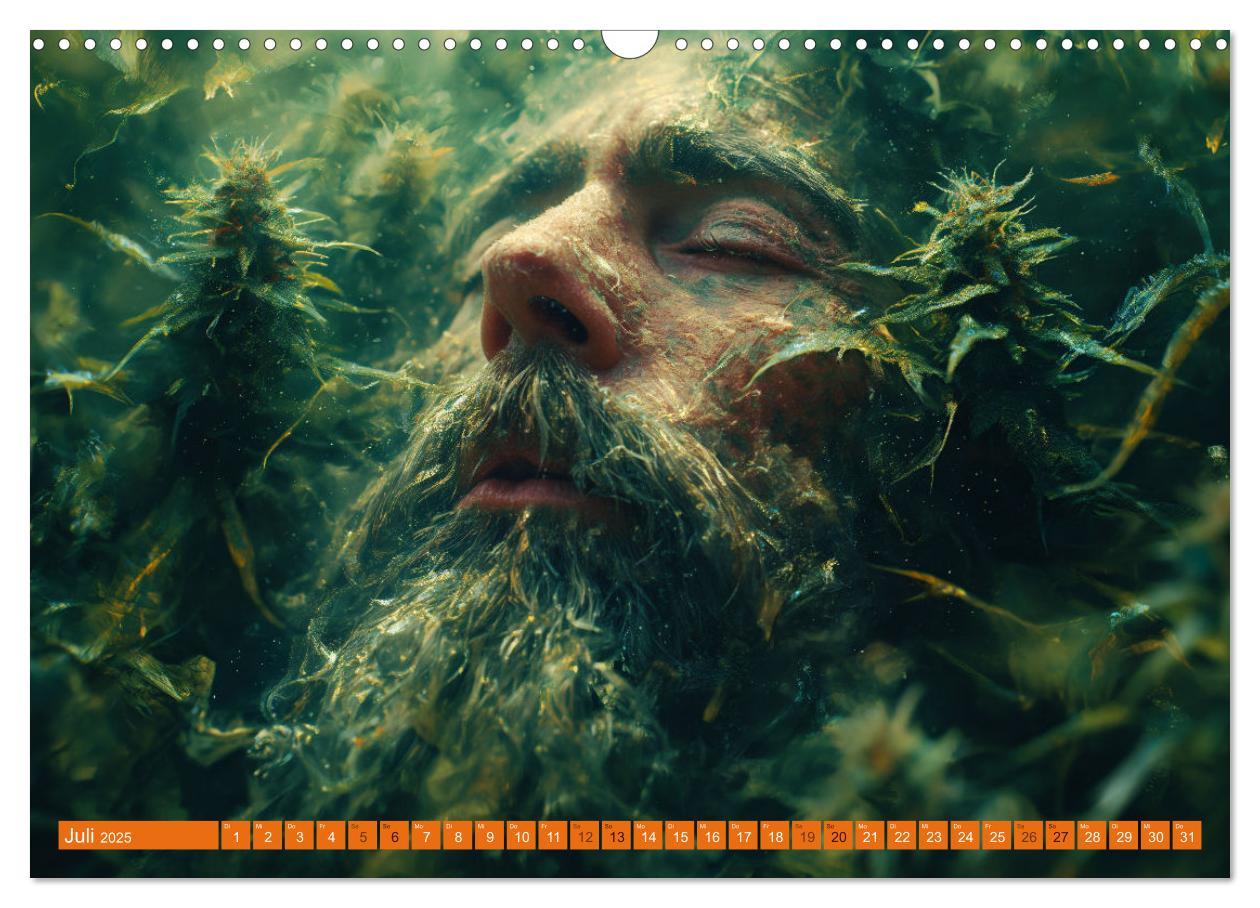 Bild: 9783383764714 | High Moments - Ein Jahr im Zeichen von Cannabis (Wandkalender 2025...