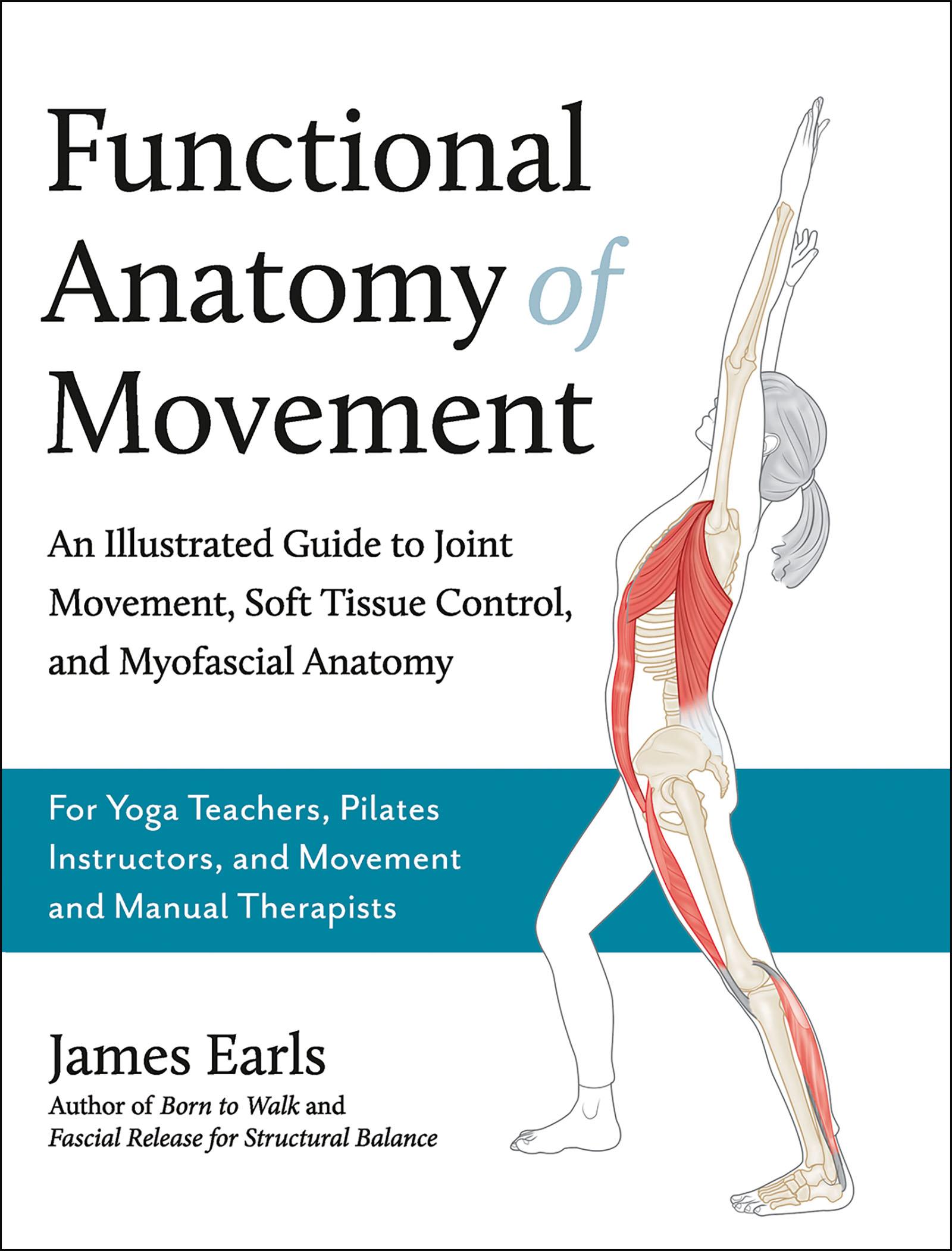 Cover: 9781913088385 | Functional Anatomy of Movement | James Earls | Taschenbuch | Englisch