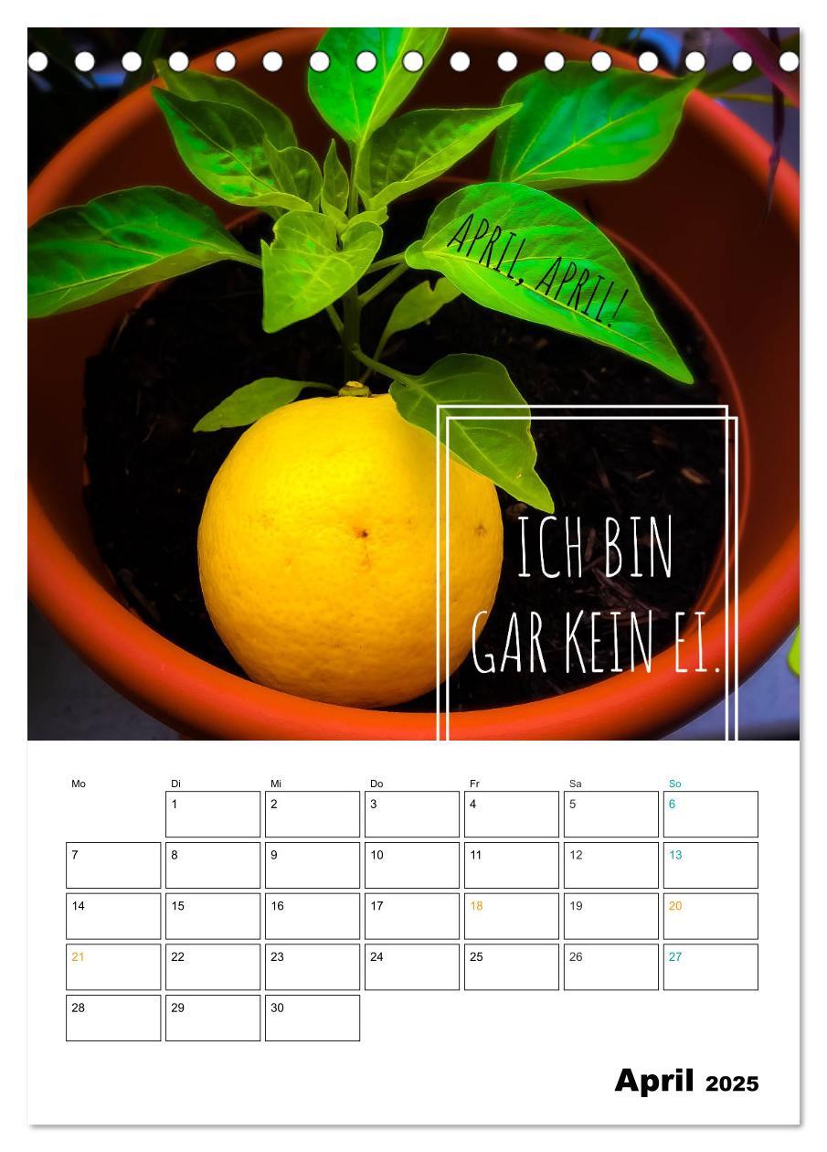 Bild: 9783435949847 | Mit Eiern durch's Jahr. (Tischkalender 2025 DIN A5 hoch), CALVENDO...