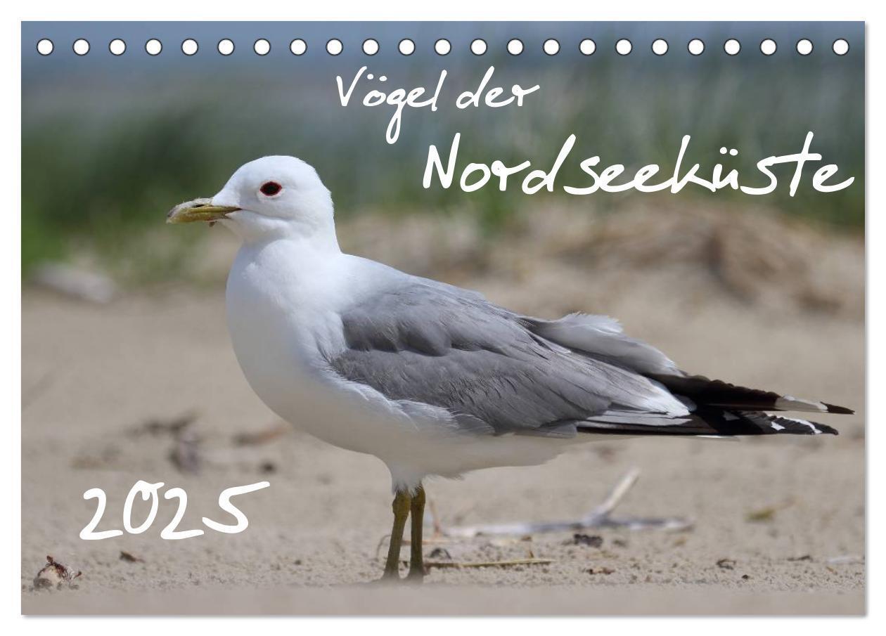 Cover: 9783435605958 | Vögel der Nordseeküste (Tischkalender 2025 DIN A5 quer), CALVENDO...