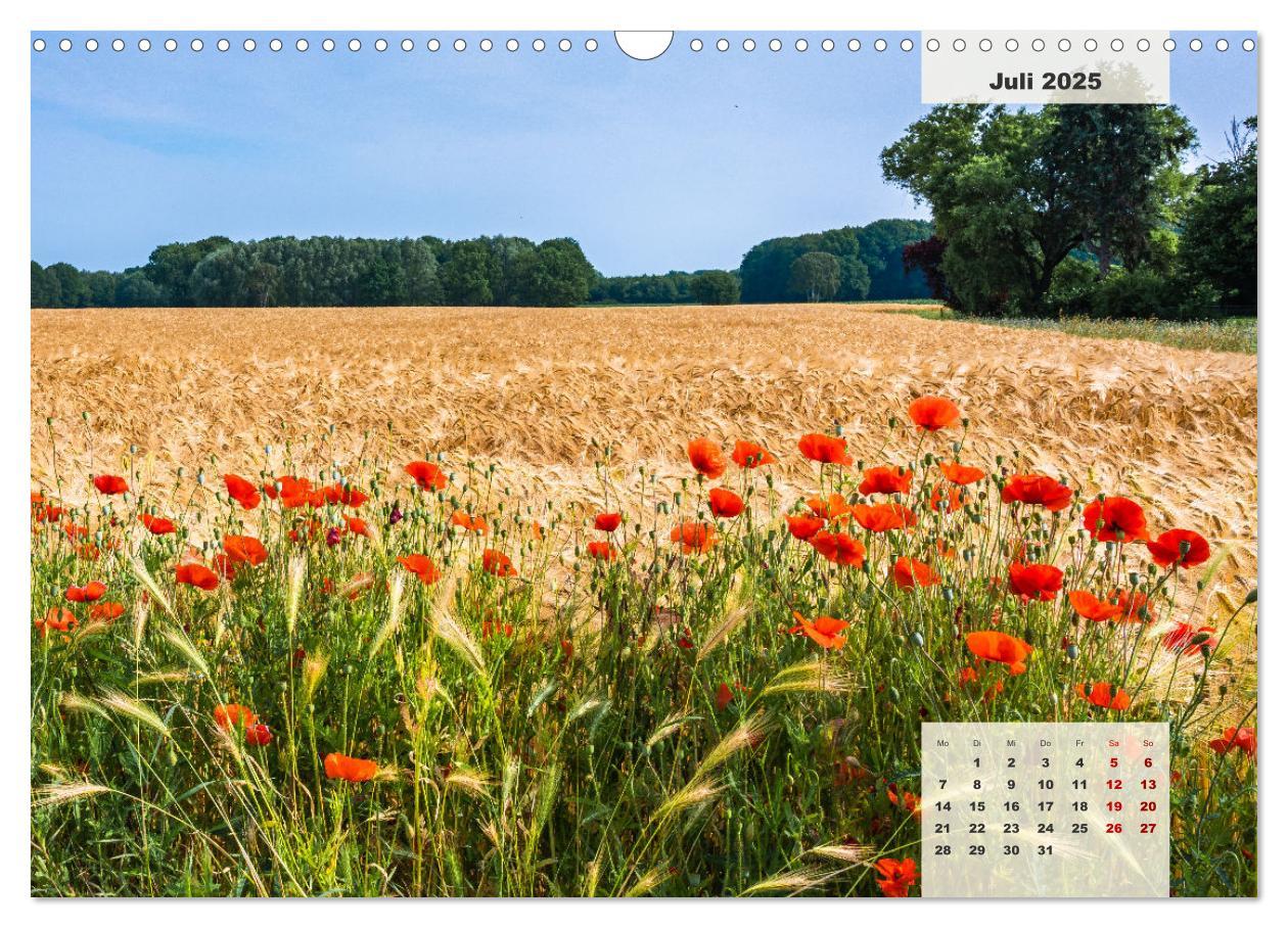 Bild: 9783383922626 | Ein Jahr Niederrhein Wiesen und Wälder (Wandkalender 2025 DIN A3...