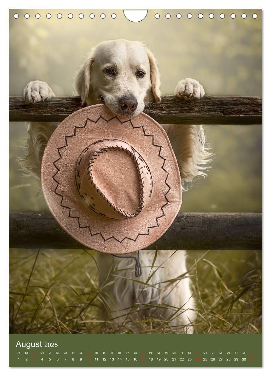 Bild: 9783435948130 | Grace und Cuba - Zwei liebenswerte Golden Retriever (Wandkalender...