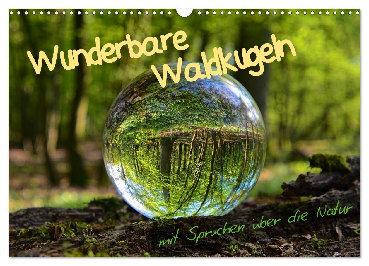 Cover: 9783435486960 | Wunderbare Waldkugeln (Wandkalender 2025 DIN A3 quer), CALVENDO...