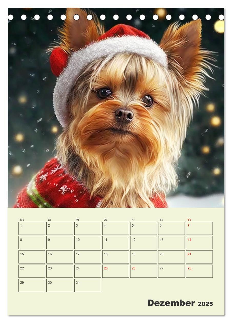 Bild: 9783435874705 | Yorkshire Terrier. Fröhliche Energiebündel in Aktion (Tischkalender...