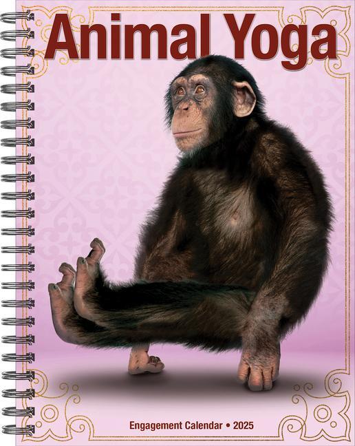 Cover: 9781549246067 | Animal Yoga 2025 6.5 X 8.5 Engagement Calendar | Willow Creek Press