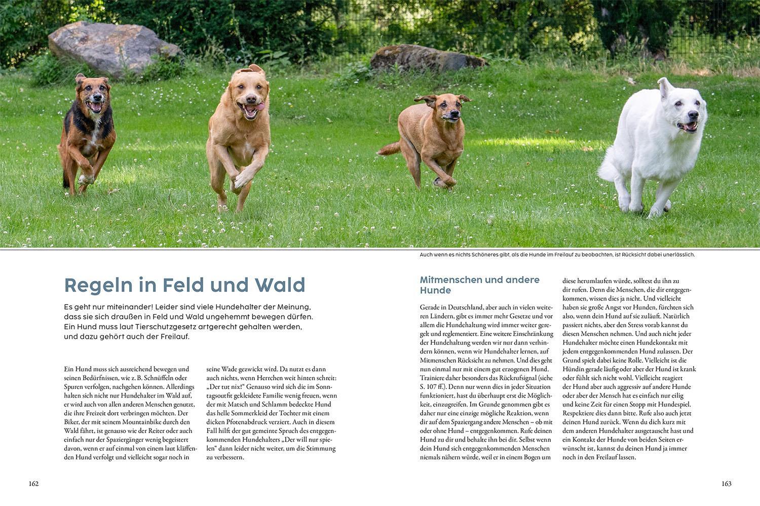 Bild: 9783440177006 | Jagdverhalten bei Hunden | Der Weg zum zuverlässigen Begleiter | Buch