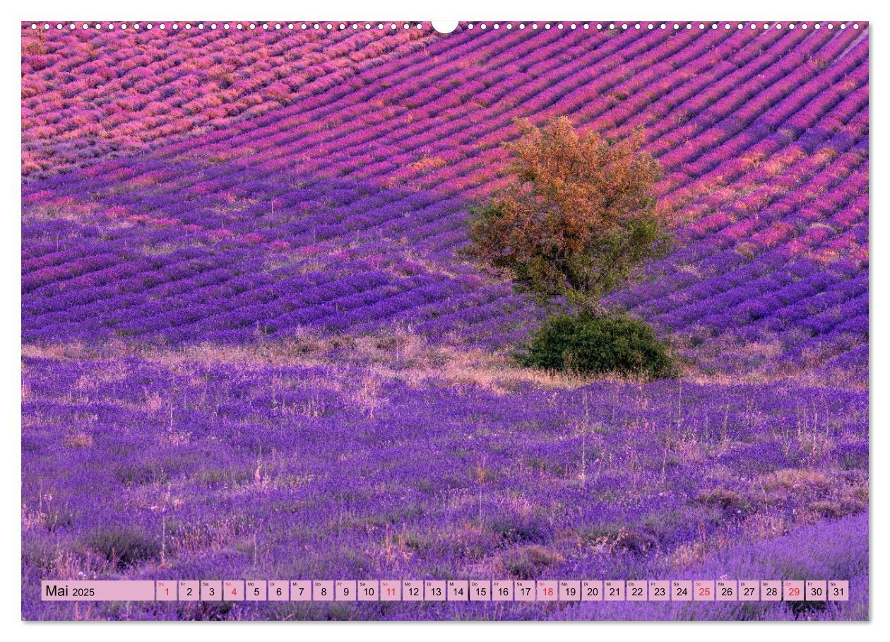 Bild: 9783435304028 | Provence, Lavendelzeit in Südfrankreich (Wandkalender 2025 DIN A2...