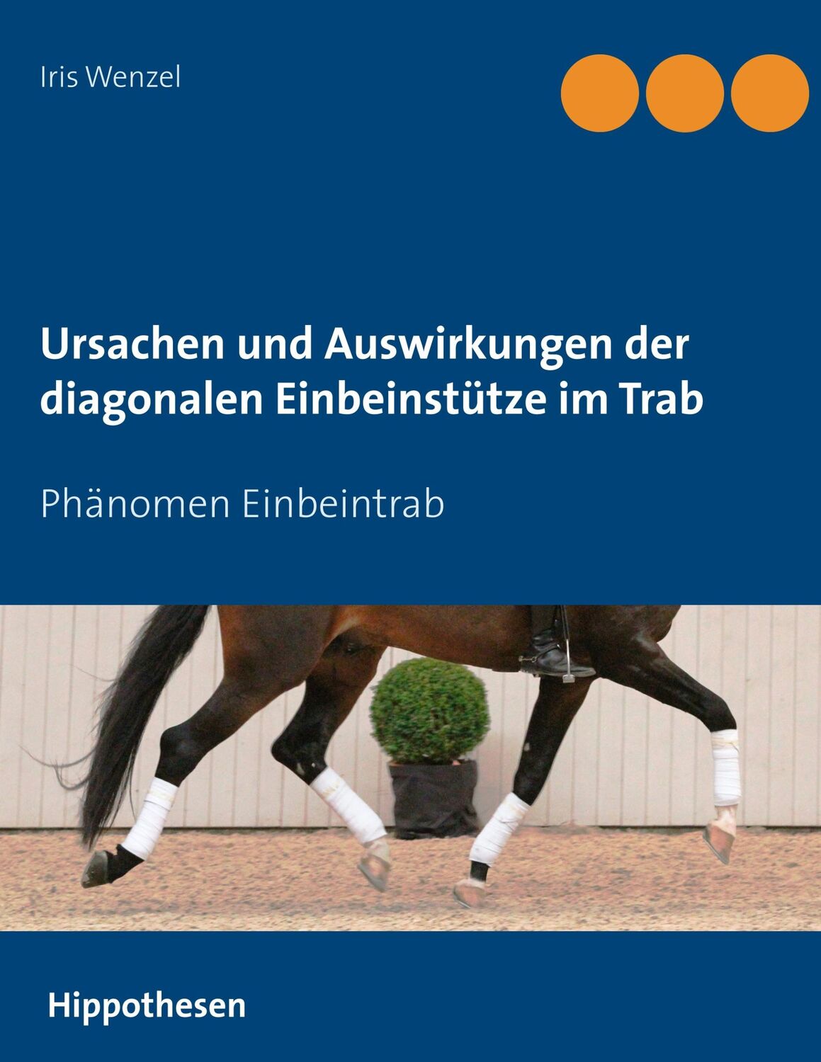 Cover: 9783748109822 | Ursachen und Auswirkungen der diagonalen Einbeinstütze im Trab | Buch