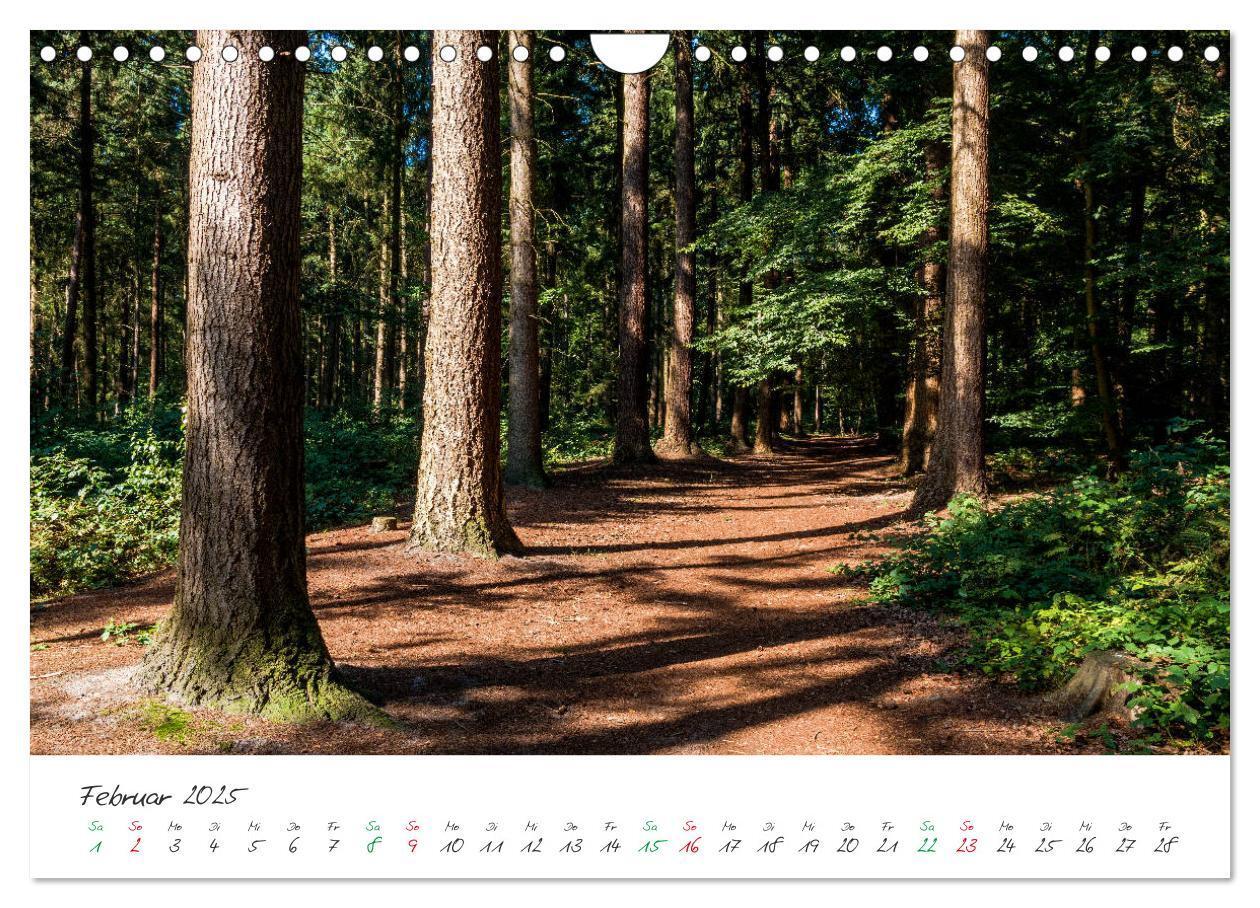 Bild: 9783435423149 | Delmenhorst Spätsommerbilder (Wandkalender 2025 DIN A4 quer),...