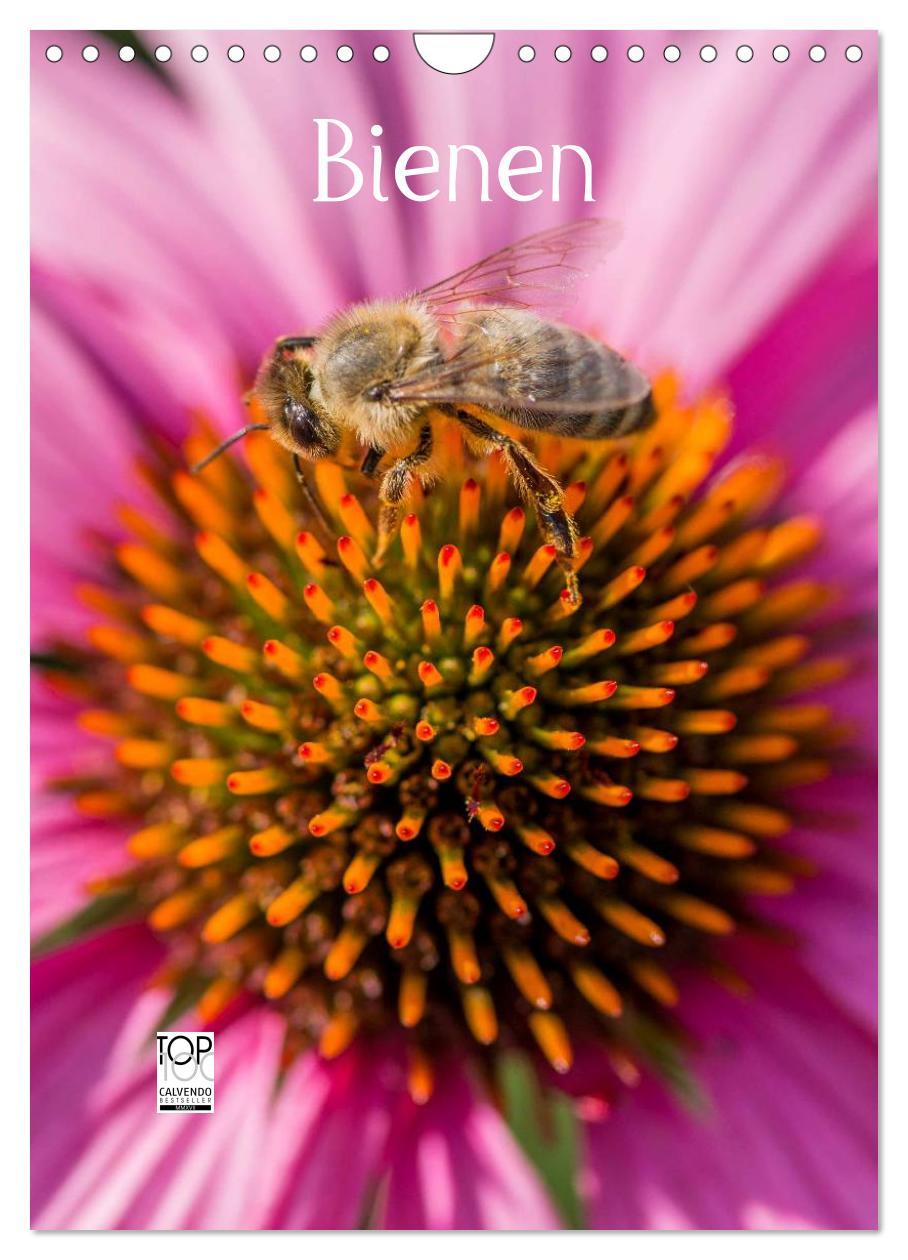 Cover: 9783457052723 | Bienenkalender (Wandkalender 2025 DIN A4 hoch), CALVENDO...