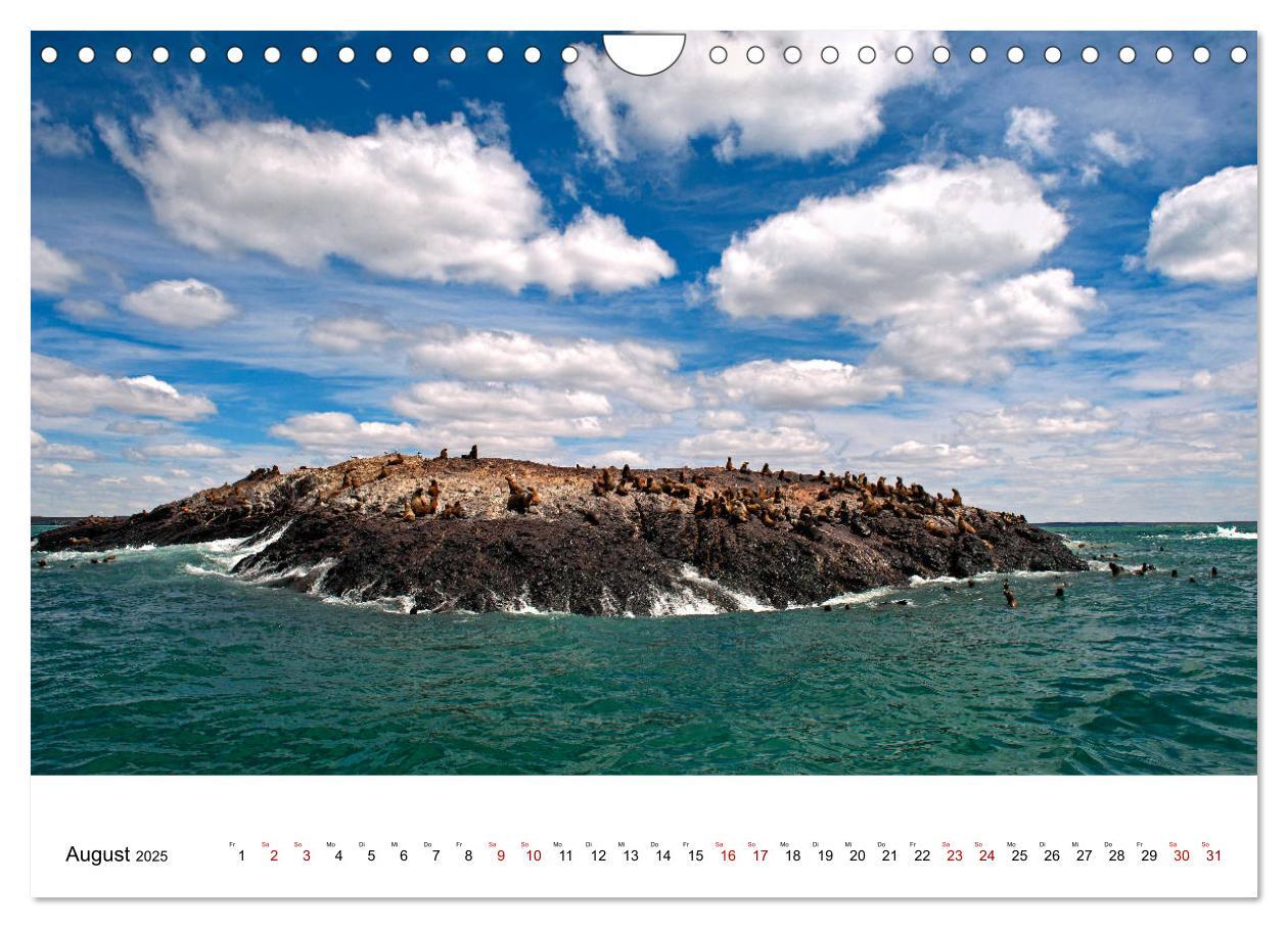 Bild: 9783435458400 | Faszinierendes Patagonien (Wandkalender 2025 DIN A4 quer), CALVENDO...