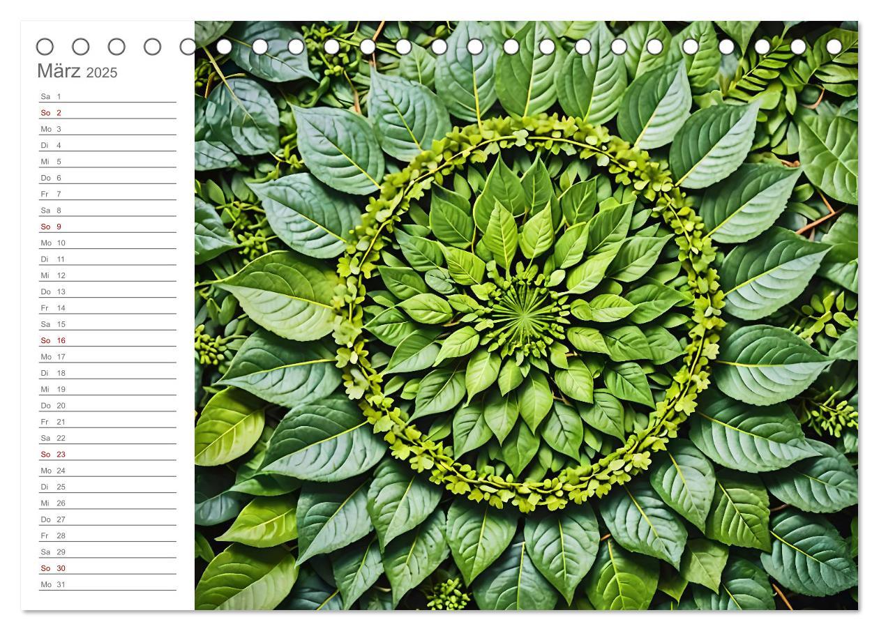 Bild: 9783457156803 | Natural Mandalas - Kraftvolle KI Mandalas aus Naturmaterialien...