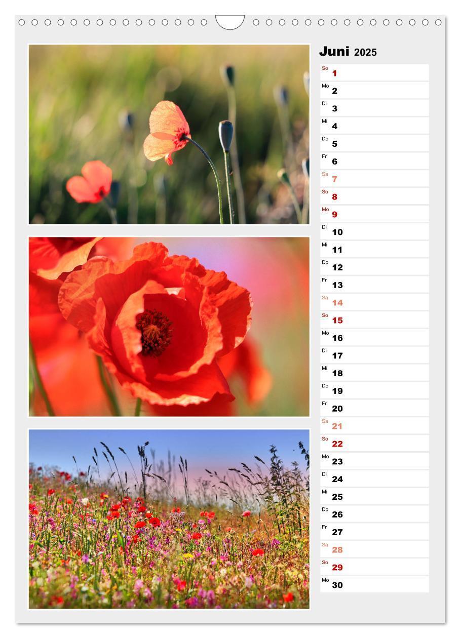 Bild: 9783435889280 | Zauberhafte Farben der Natur (Wandkalender 2025 DIN A3 hoch),...