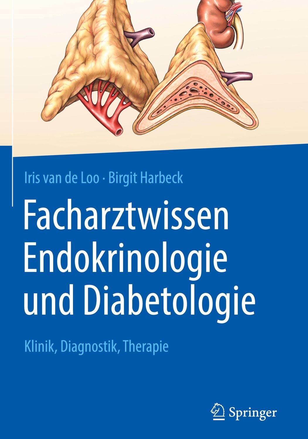 Cover: 9783662588963 | Facharztwissen Endokrinologie und Diabetologie | Loo (u. a.) | Buch