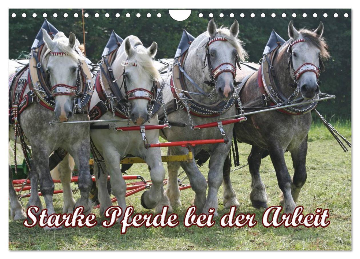 Cover: 9783435694976 | Starke Pferde bei der Arbeit (Wandkalender 2025 DIN A4 quer),...