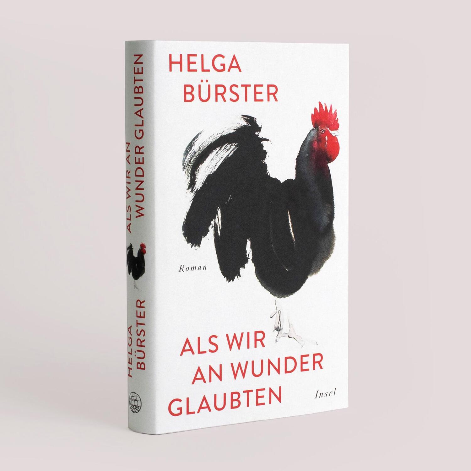 Bild: 9783458643883 | Als wir an Wunder glaubten | Roman | Helga Bürster | Buch | 285 S.