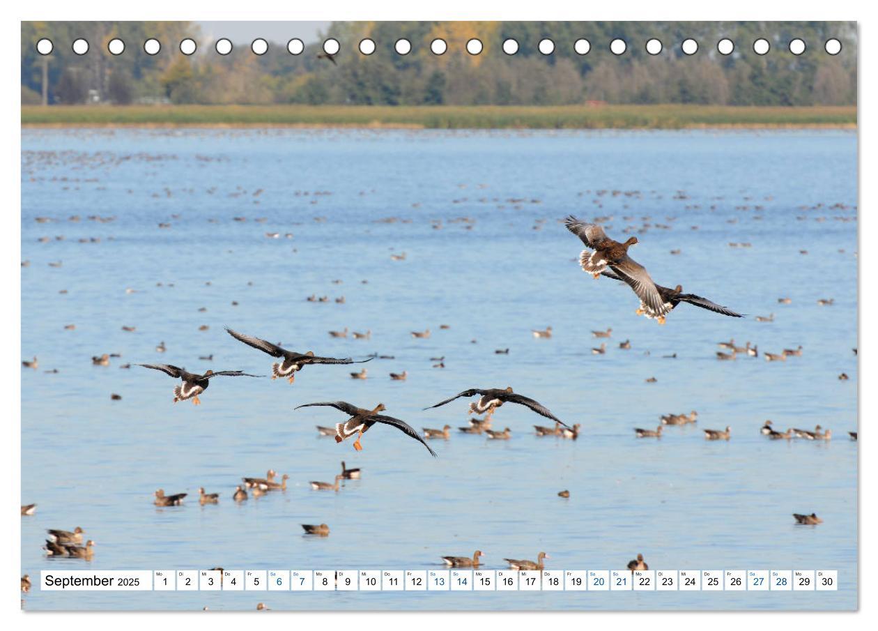 Bild: 9783435369904 | Land Brandenburg - Natur und Erholung im märkischen Land...