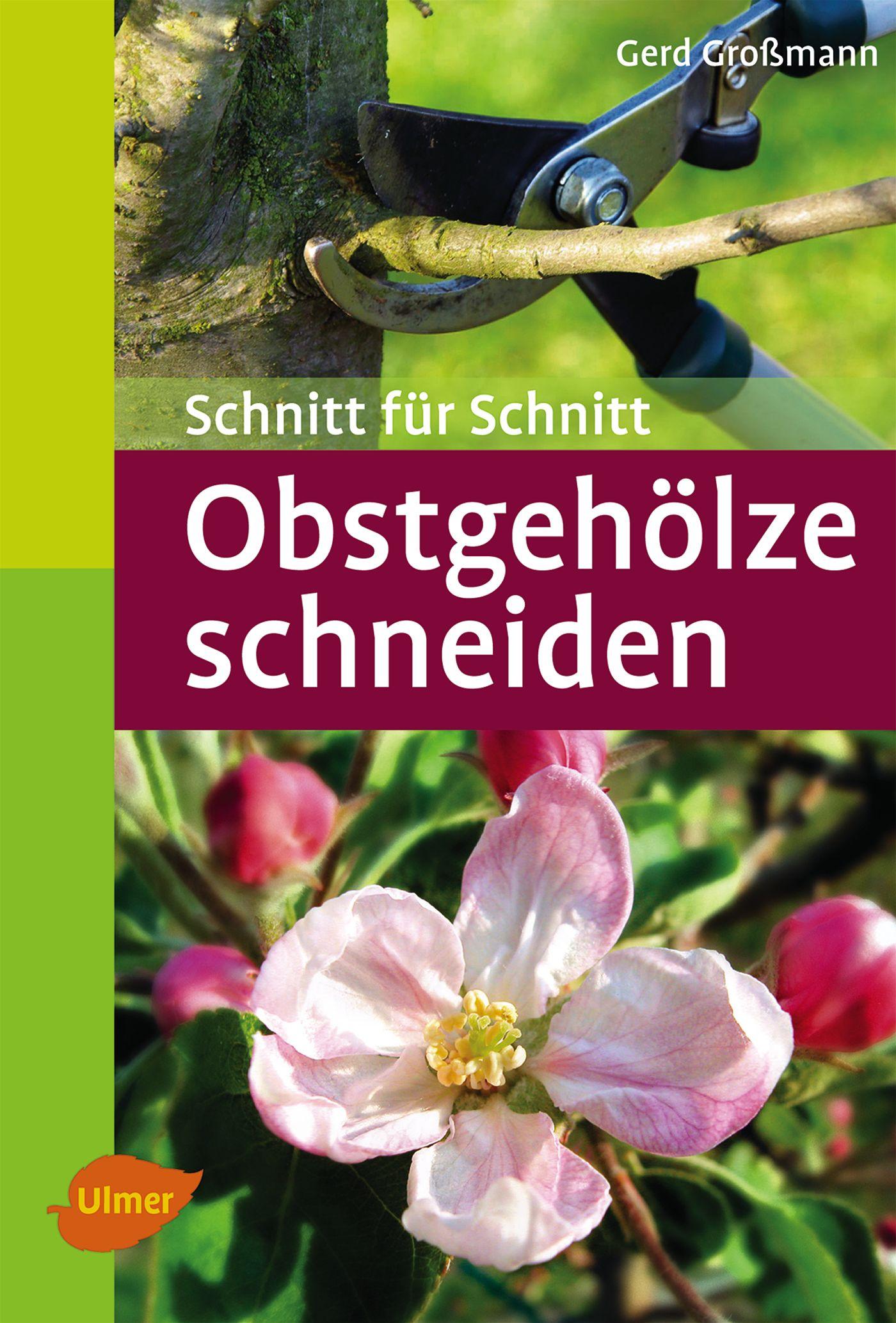 Cover: 9783800149711 | Obstgehölze schneiden | Schnitt für Schnitt | Gerd Großmann | Buch