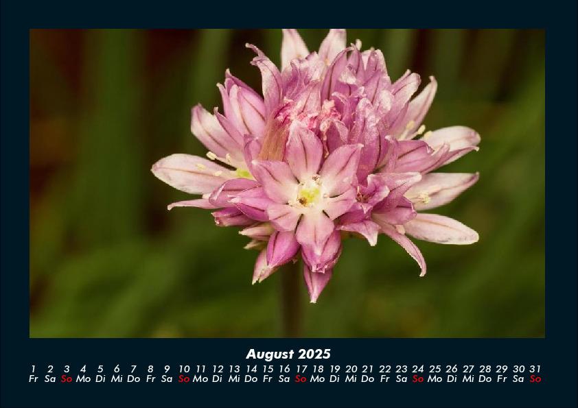 Bild: 9783755993346 | Blumenkalender 2025 Fotokalender DIN A4 | Tobias Becker | Kalender