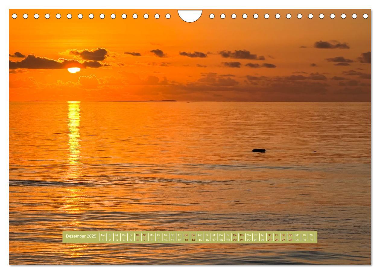 Bild: 9783383930706 | Kudafushi (Wandkalender 2025 DIN A4 quer), CALVENDO Monatskalender