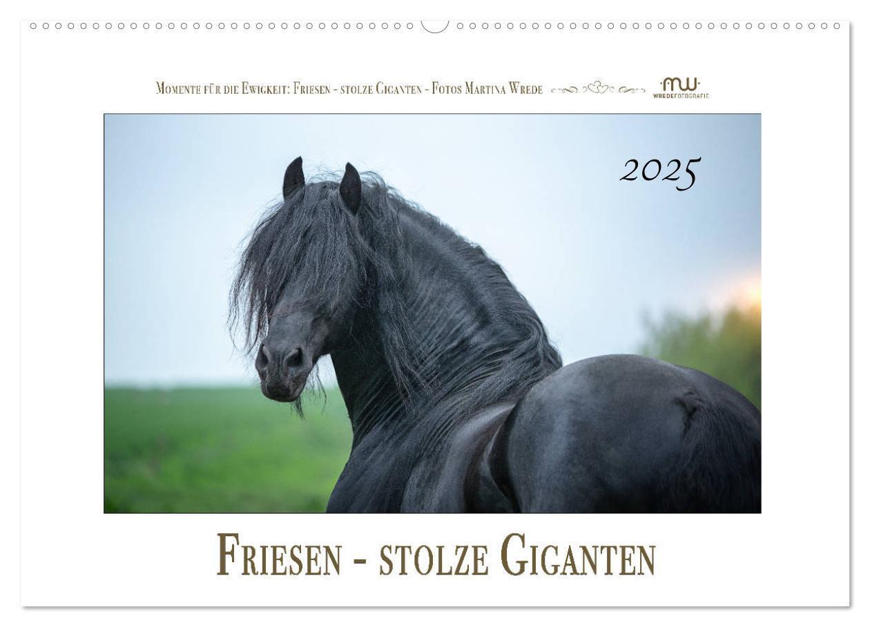 Cover: 9783435235407 | Friesen - stolze Giganten (Wandkalender 2025 DIN A2 quer), CALVENDO...