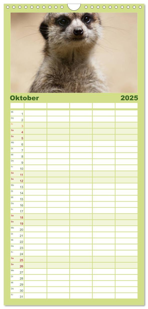 Bild: 9783457109656 | Familienplaner 2025 - Erdmännchen mit 5 Spalten (Wandkalender, 21 x...