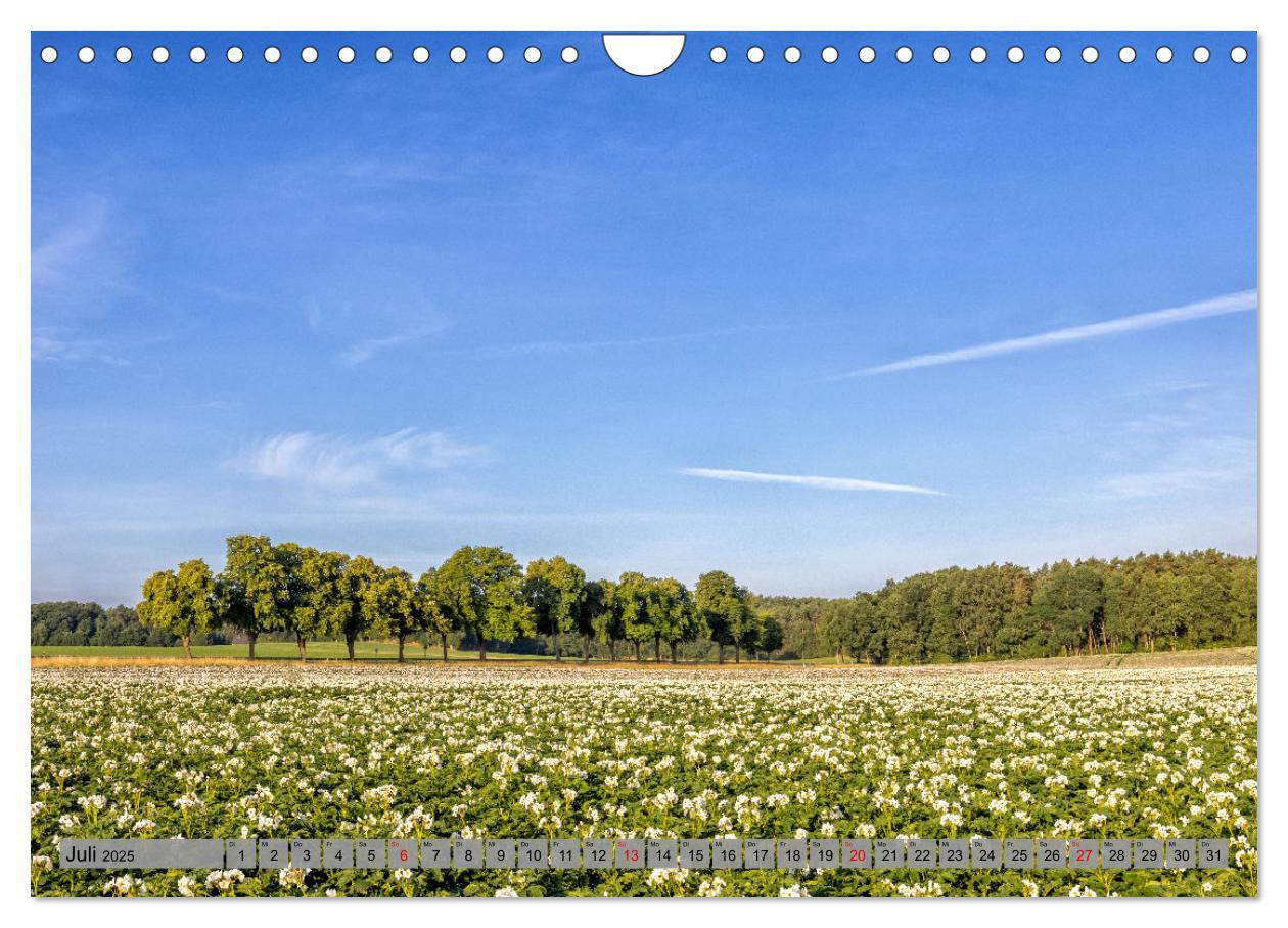 Bild: 9783383950780 | Erlebnis Wendland (Wandkalender 2025 DIN A4 quer), CALVENDO...