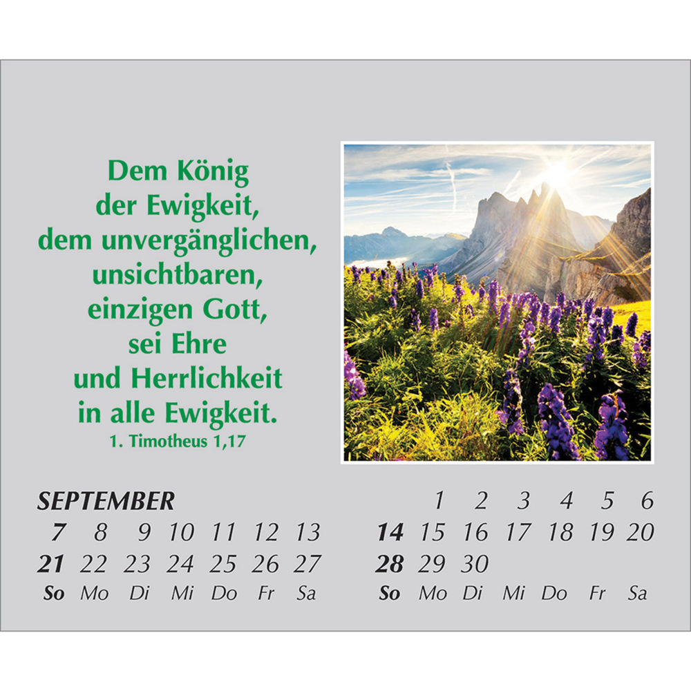 Bild: 9783754861059 | Freude für jeden Tag 2025 | Kalender | Spiralbindung. Spiralbindung