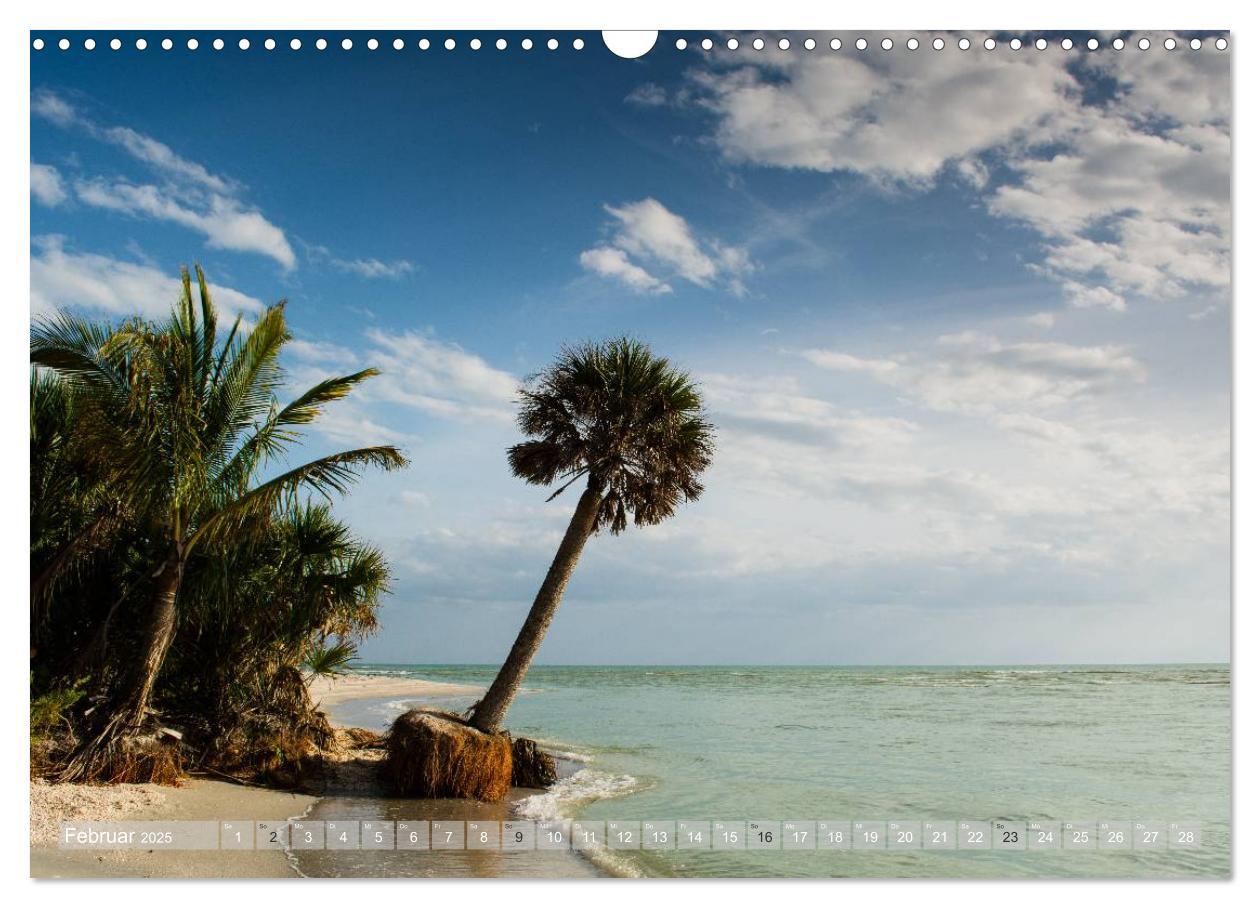 Bild: 9783435602216 | Florida. Sonne und Meer (Wandkalender 2025 DIN A3 quer), CALVENDO...