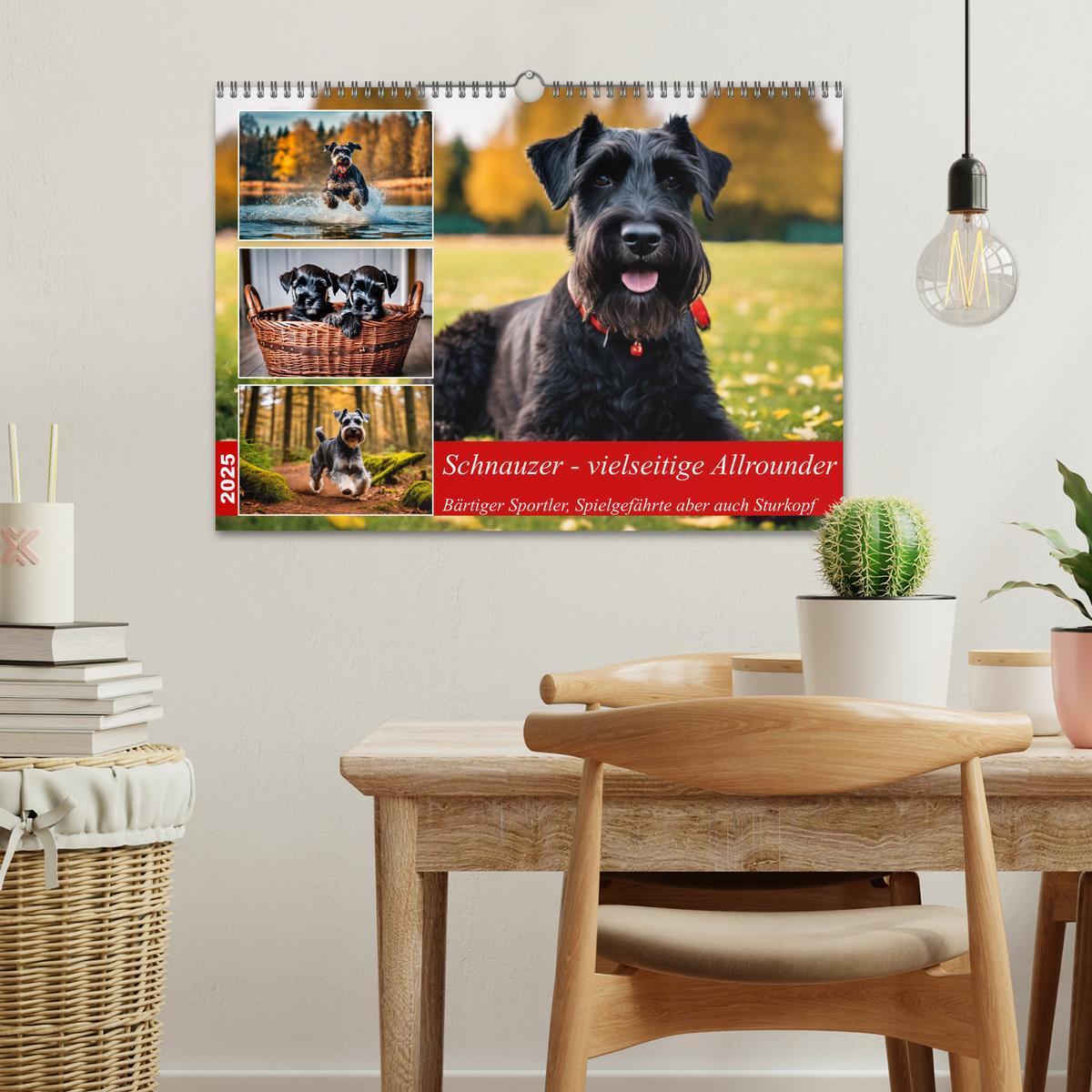 Bild: 9783457036914 | Schnauzer - vielseitige Allrounder (Wandkalender 2025 DIN A3 quer),...