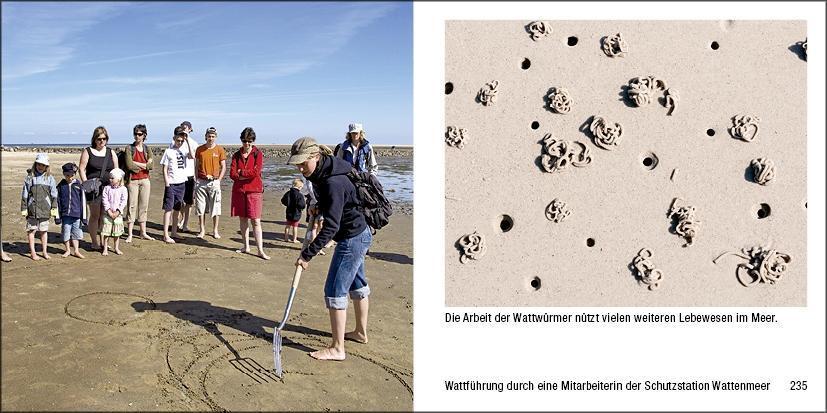 Bild: 9783957990884 | Sylt - Book To Go | Der Bildband für die Hosentasche | Buch | 256 S.