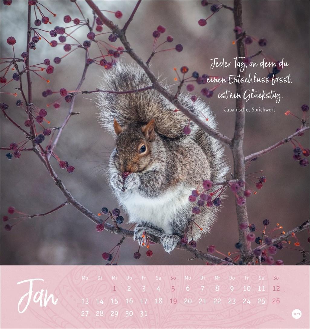 Bild: 9783756406920 | Tage voller Glück Postkartenkalender 2025 | Heye | Kalender | 13 S.