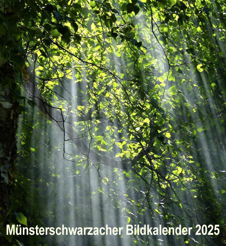 Cover: 9783736505414 | Münsterschwarzacher Bildkalender 2025 | Abtei Münsterschwarzach | 2025