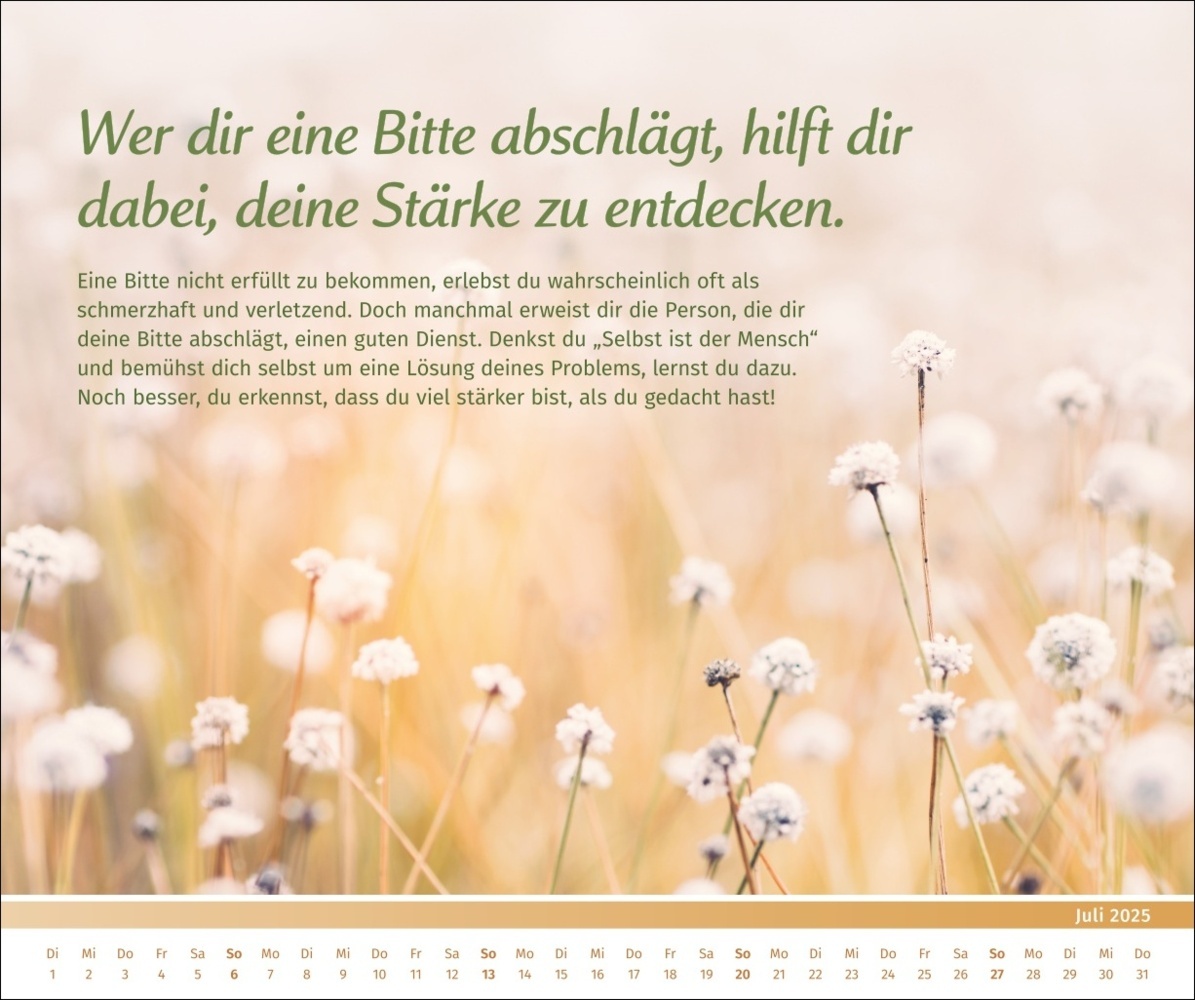 Bild: 9783840196089 | PAL - Der Lebensfreude-Inspirationen-Kalender 2025 | Kalender | 14 S.